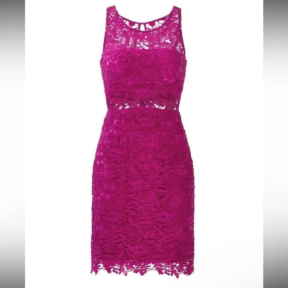 ML Monique Lhuillier Mulberry Purple Lace Sheath Formal Dress- Size 4